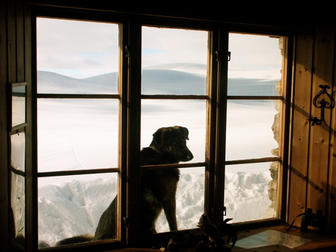 Sebastian window