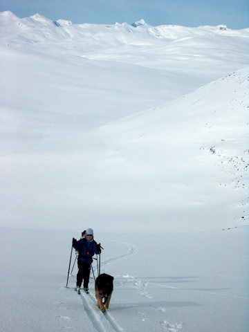 Storskardshøa ascent